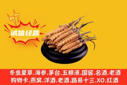 宁德福安市回收冬虫夏草